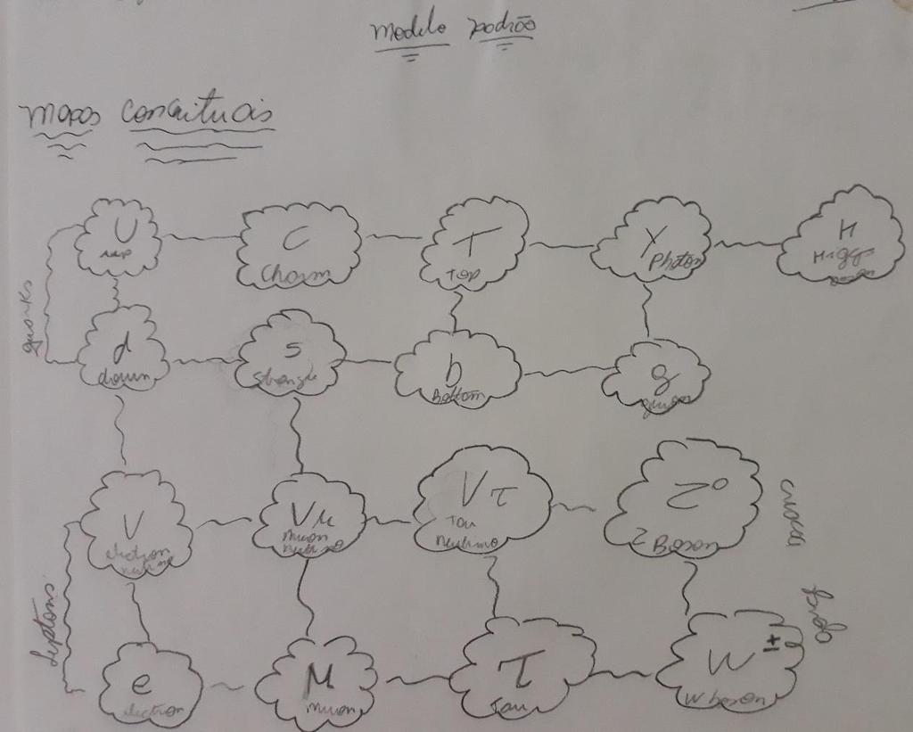 111 conceitos. A descrição feita do mapa demonstra dúvidas conceituais incluindo problemas na compreensão do tema ao mencionar que os Bósons se originam dos Léptons.