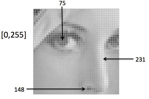 Imagem Discreta Digital Uma imagem contém uma quantidade discreta de elementos