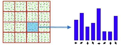 Calculano HOG Para cada célula, obtenha o histograma de orientações: