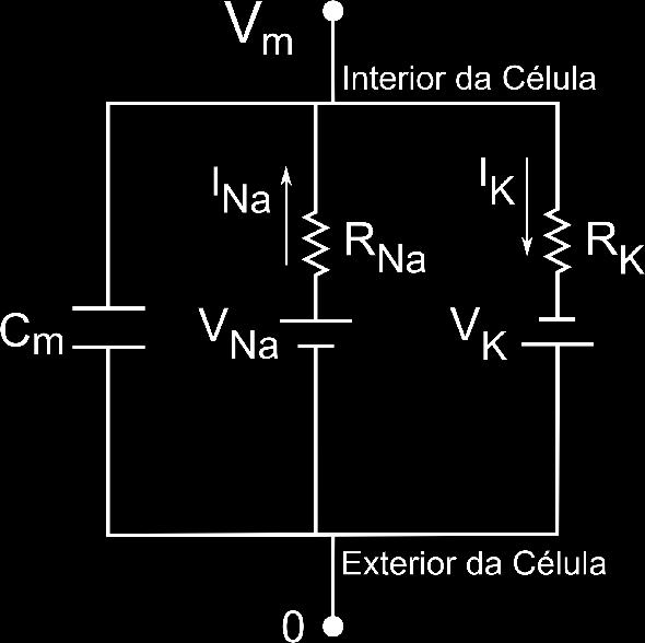 UFG/CS RESPOSTAS ESPERADAS PRELIMINARES PS/2011-1 GRUPO 2 FÍSICA QUESTÃO 11 a) No equilíbrio dinâmico, o capacitor se encontra carregado, e a corrente capacitiva é zero.