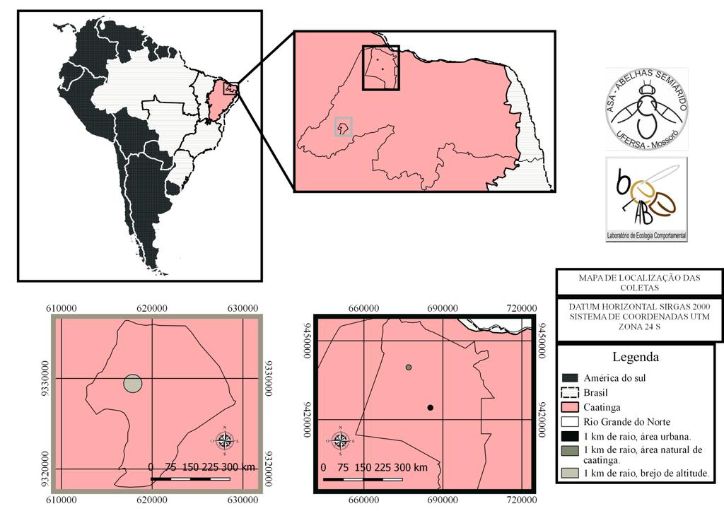 19 Figura 2 Mapa das áreas estudadas: Área urbana (Mossoró/RN), Área natural de Caatinga (Mossoró/RN) e Brejo de Altitude (Martins/RN).