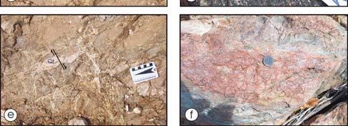 O baixo rake da estria (le) sugere movimentação transcorrente (afloramento SB-108); e) Sistema de vênulas quartzosas relacionadas a evento de fraturamento hidráulico.