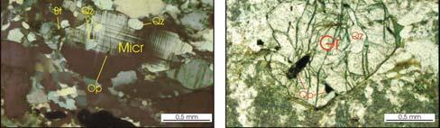 Seção delgada SB-256A; c) Cristal geminado anédrico de microclina (Micr) com extinção ondulante. Apresenta inclusões de biotita (Bt), quartzo (Qz) e opacos (Op). Nicóis cruzados.