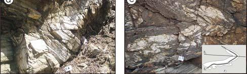 F 2 em gnaisses bandados na parte central da área (afloramento SB-61); d) Dobra F 2 com simetria em m em gnaisse situado junto ao