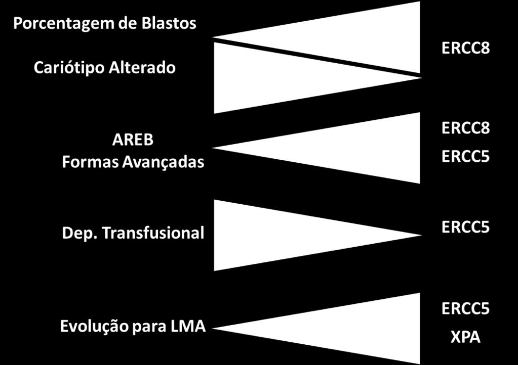 XPA e XPC em pacientes com SMD hipocelular. 2.