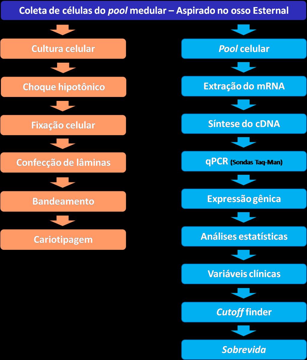 Figura 10: