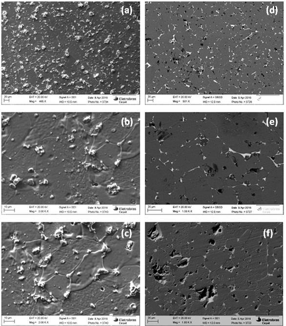 Figura 2: Características microestruturais da cerâmica varistora estudada: Fotomicrografias (MEV).