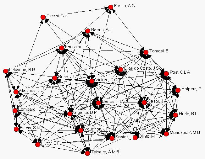 Figura 1 Rede de colaboração entre os pesquisadores - Centro de Pesquisas Epidemiológicas da UFPel 1982 2001 (n = 24).