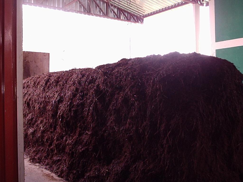 FIGURA 6 - Pilha ou meda de composto montadas durante a fase 1 da compostagem. Um dos principais fatores para a obtenção de um composto de qualidade e o teor de umidade.