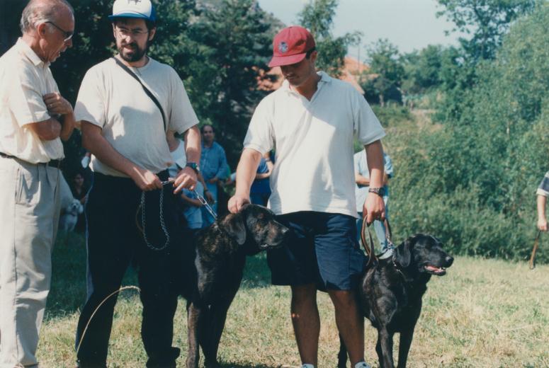 Como podem verificar, MACS tem o registo RI 46337, é filho do ARTUR e da BABEL, nasceu em 03 de Setembro de 1995, e o seu criador é Jose Manuel Bouzo Limia.