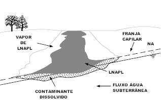 2 Revisão Bibliográfica 33 Figura 2.4 - Modelo conceitual do comportamento do DNAPL no meio poroso (adaptado de Newel et al., 1995). 2.2.2 Fluxo de LNAPLs O movimento de LNAPLs no subsolo é controlado por diversos processos como ilustrado no simplificado cenário da Figura 2.