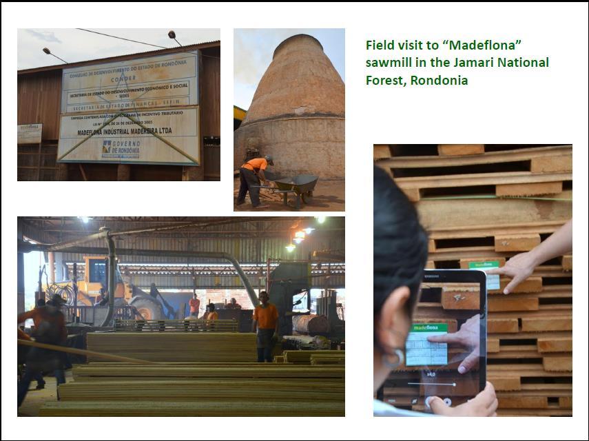 SITUAҪÃO ACTUAL DAS FLORESTAS NA ZAMBÉZIA Exploração de Madeira 49 Concessões, 98 LS (SPFFBZ, 2015) Fraca implementação dos Planos de Maneio Florestal Indústria transformadora