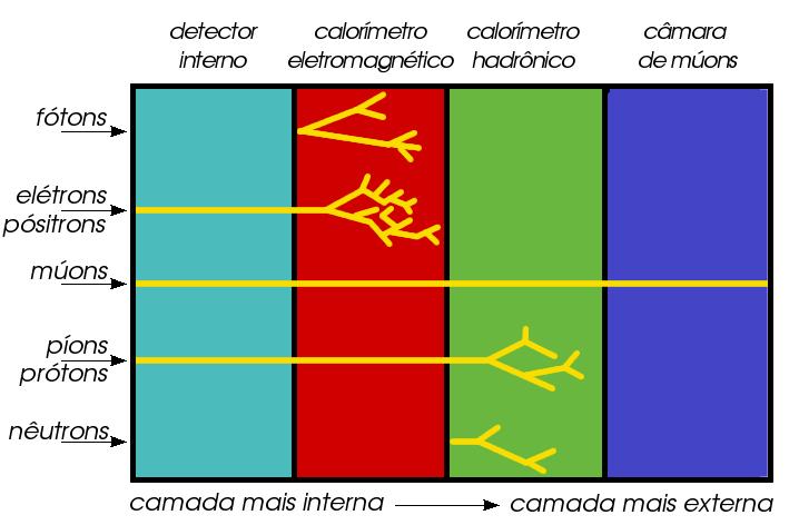 rial pesado, que força o decaimento dos hádrons num chuveiro hadrônico, bem mais largo e profundo que o eletromagnético [14].