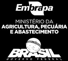 Citricultura brasileira. 2. ed. Campinas: Fundação Cargill, 1991. p. 228-257. OLIVEIRA, R. P.; SCIVITTARO, W. B. Cadeia produtiva de citros do Rio Citricultura Atual, Cordeirópolis, v. 100, p.