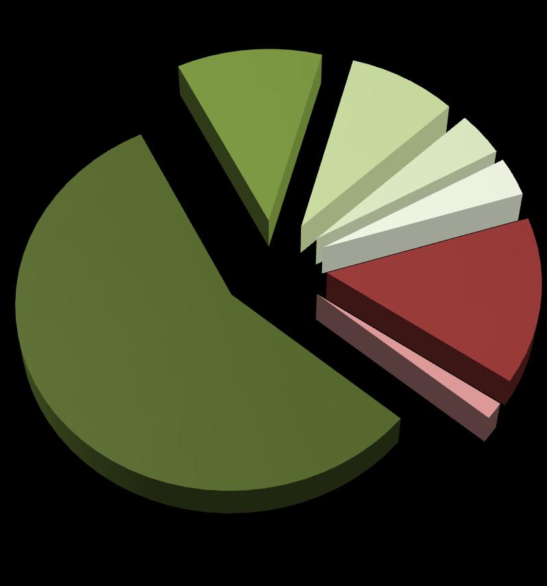 7,0% 3,6 2,5% 30 14,5% 2,0 1,4% 87,3 61,3% Hidrelétrica Biomassa Eólica