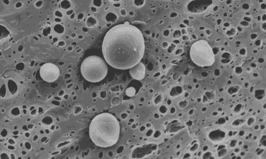 (a) (b) 5 µm 5 µm Com objetivo de obter nanopartículas de acetato de celulose, a dispersão contento as misturas de polímero e diferentes porcentagens em massa do surfactante PVA foram