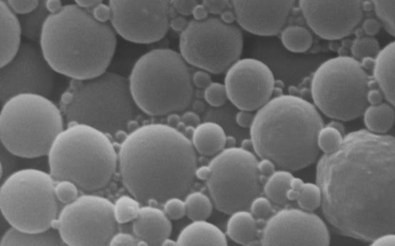 Foram obtidos espectros de absorbância em função do