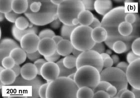 Micrografias, obtidas em microscópio eletrônico de varredura, das amostras de ZrO 2 :R 2 O 3, com fase cúbica, após a síntese. R = (a) Sc 3+, (b) Y 3+, (c) Sm 3+.