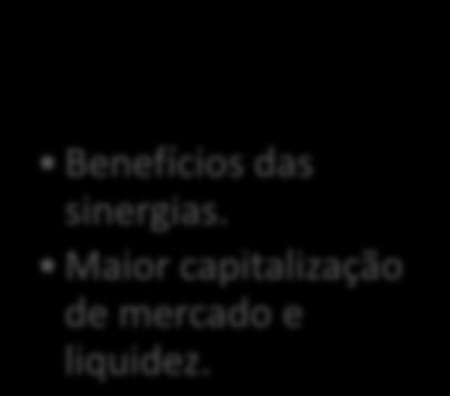 Grande rede de distribuição. Benefícios das sinergias.