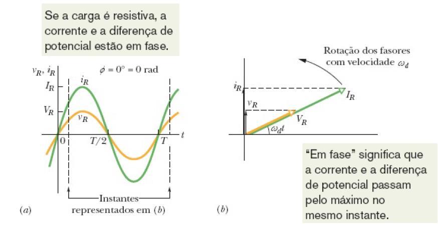 31-3 Oscilações Forçadas de Três Circuitos Simples Carga Resistiva A amplitude da tensão e a amplitude da corrente estão relacionadas pela equação Onde V R e I R são as amplitudes da corrente