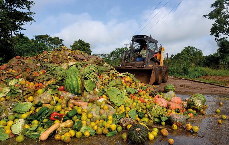 Hortaliças e frutas são ainda piores, cerca