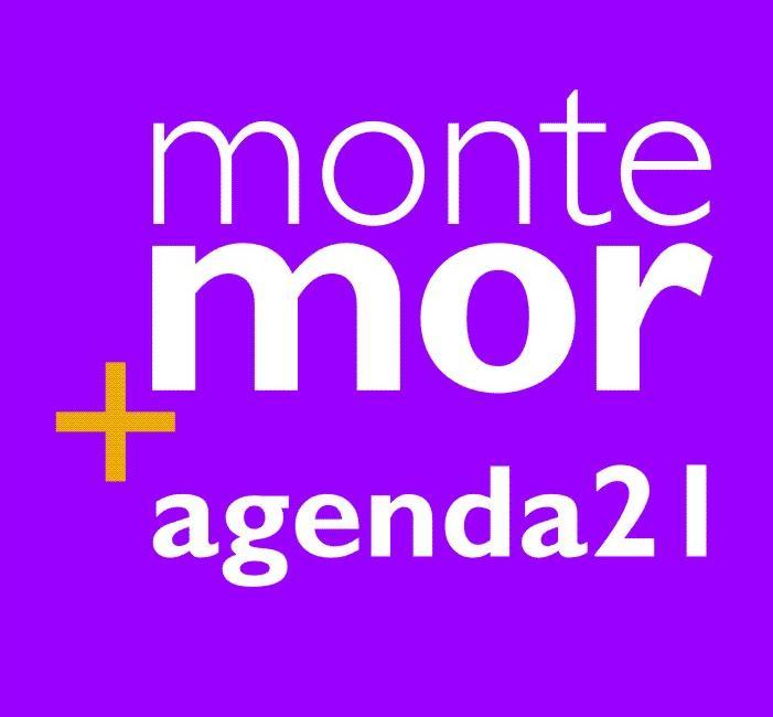 Montemor-o-Novo, 20