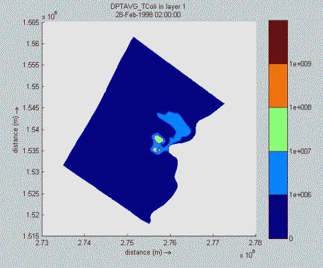 47 Results 4: bacteria concentration distributions Depth averaged total coliform concentration (C o = 10 11