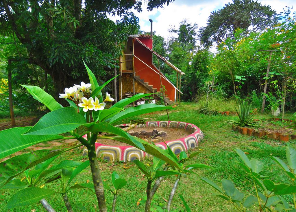 FOTO: ILUMINA - ESPAÇO DE CULTURA, ECOLOGIA E EDUCAÇÃO HOLÍSTICA ABRIL 2019 1 2 3 4 5 6 7 8 9 10 11 12 13 14 15 16 17 18 19 20 21 Fossa verde Conhecida também como tanque de evapotranspiração