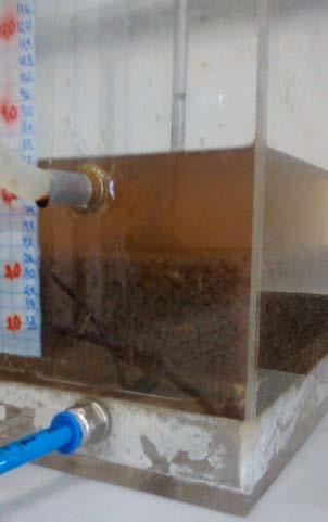 Figura 1: Foto ilustrativa do lodo formado após o tratamento do efluente industrial com coagulante tanino. Fonte: A autora.