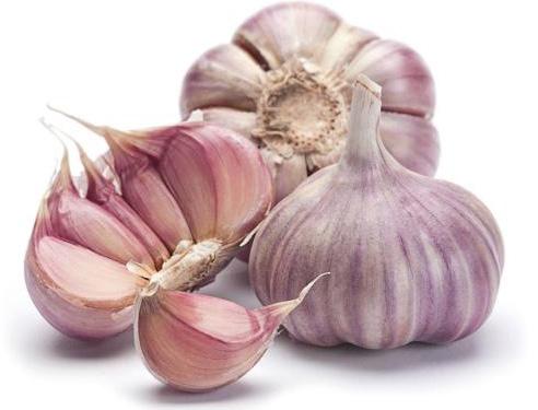 Alho O alho é uma planta do gênero Allium que é composta por Escamiformes (cabeças de alho) que serve como um tempero culinário e como planta medicinal. Recomendações: Pressão alta.