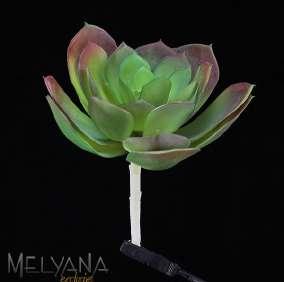 ECHEVERIA PICK 15CM Ref: 13308