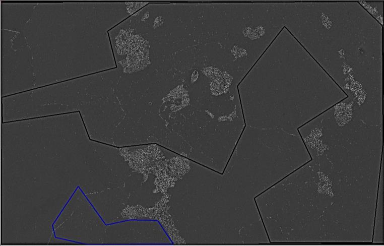 2605 A figura 6 mostra uma das 7 imagens utilizadas para calcular a fração de área de regiões interdendríticas e intradendríticas, para posição, em ambas amostras.