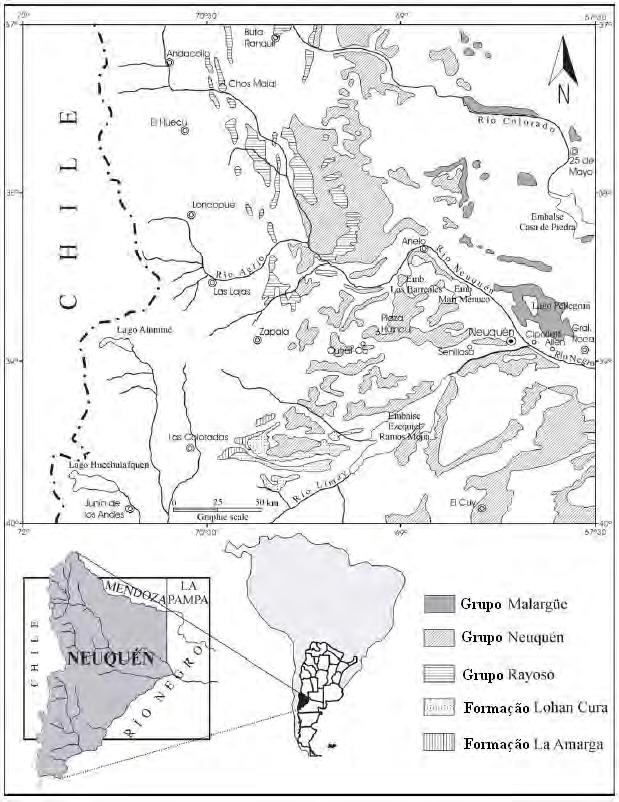 As formações Candeleros, Huincul e Cerro Lisandro compõem o Sub-Grupo Rio Limay; as unidades Portezuelo e Plottier estão reunidas no Sub-Grupo Rio Neuquén; as formações Bajo de la Carpa e Anacleto