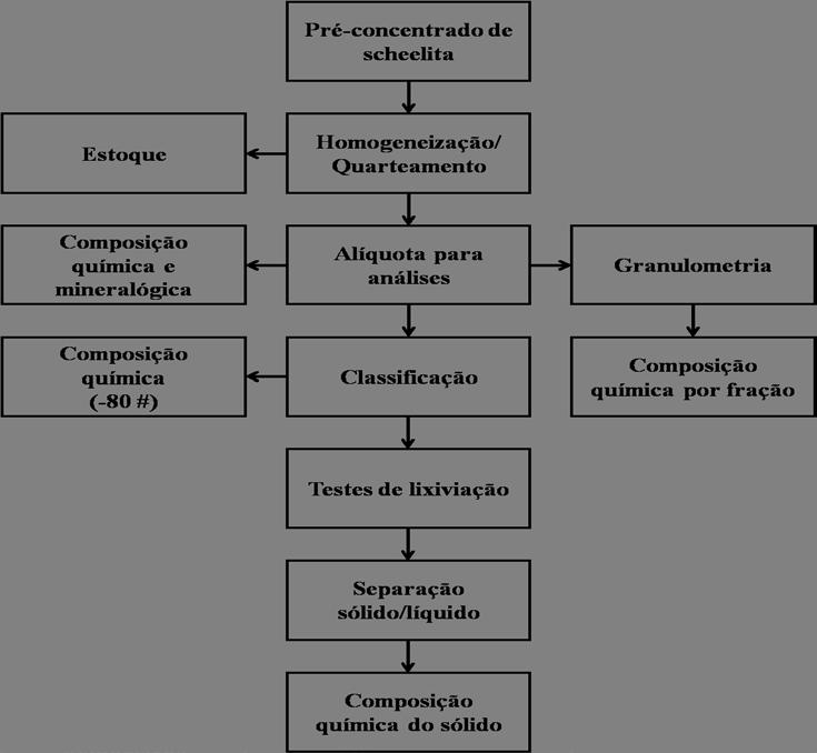 Figura 1 - Fluxograma com as etapas realizadas no estudo.