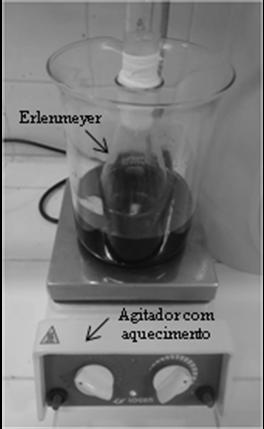 10 + - - + 11 - + - + 12 + + - + 13 - - + + 14 + - + + 15 - + + + 16 + + + + A aparelhagem utilizada para os testes de lixiviação constituiu de um agitador magnético/aquecedor mod.