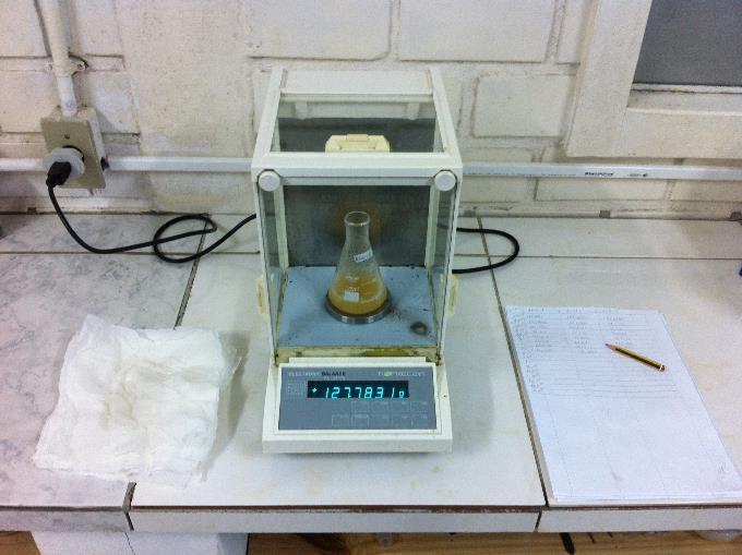 (a Figura I. Montagem experimental dos experimentos de fermentação. (a Pesagem dos frascos após incubação da levedura e (b Banho-maria com os mostos na temperatura de 20 C.