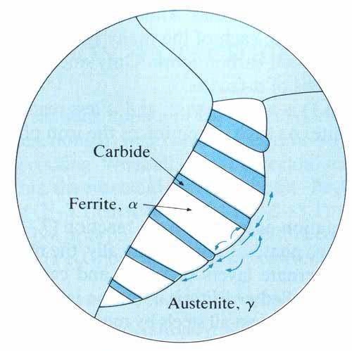 Estrutura Perlítica 2500x Perlite: