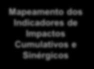 Indicadores e da Matriz de Sensibilidade Mapeamento dos Indicadores de Sensibilidade Mapeamento das Fragilidades de