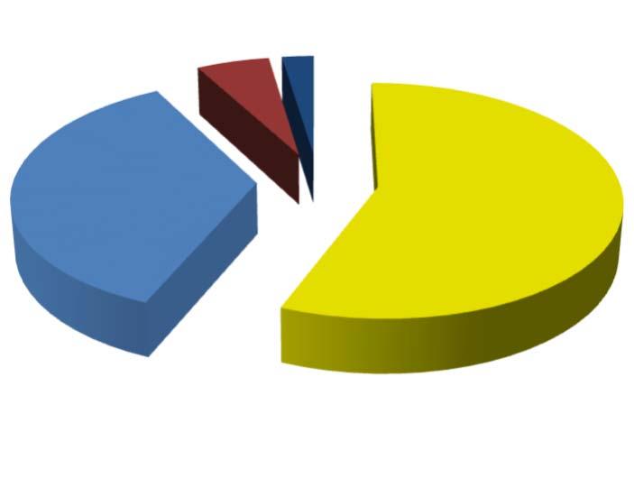 4.3 DISTRIBUIÇÃO POR INSTITUIÇÃO FINANCEIRA SEGMENTO VALOR APLICADO (em R$) Percentual sobre Patrimônio Líquido RPPS Banco do Brasil 131.350.843,43 56,2% Caixa Econômica Federal 83.845.