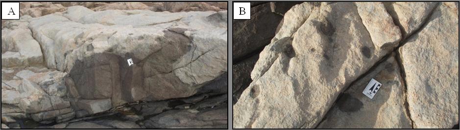 Geosite Intermediate dick of the south coast of the Solidão beach A) Contact between Granite Ilha, the border of basaltic andesite and the traquiandesito core; B) Traquiandesito with swarm of