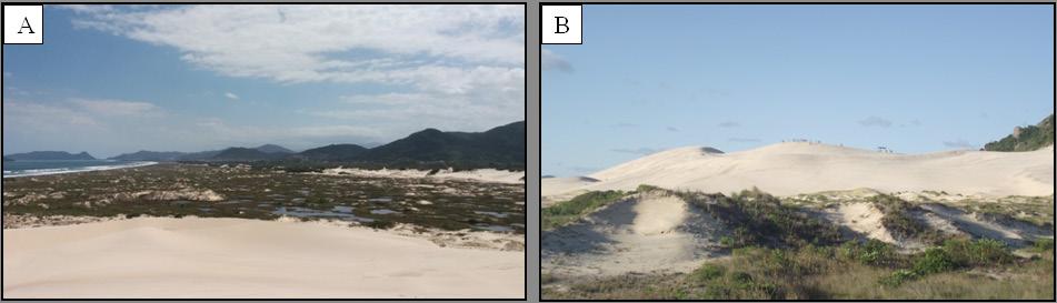 Figura 22. Geossítio Campo de dunas da Joaquina. A) Vista para sudeste do campo de dunas da Joaquina; B) Duna transversal a noroeste do campo de dunas. Figure 22. Geosite Joaquina dune field.