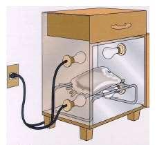 Soluções muito frias poderão causar dor e vasoconstrição e reduzir o clearence (avalia o desempenho da função excretora renal).