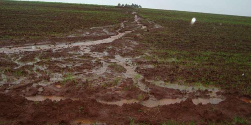 Erosão Hídrica no Brasil Fonte: Didoné, 2014 PERDAS
