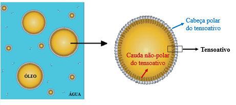 de uma fase aquosa é determinado como uma nanoemulsão óleo em água (O/A), enquanto que uma nanoemulsão água em óleo (A/O) é constituída de gotículas de água dispersas em uma fase oleosa (TADROS et al.
