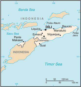 INTRODUÇÃO O primeiro contacto entre os portugueses e a ilha de Timor deu-se no início do século XVI por razões comerciais, tendo a colonização ocorrido a meio do século.