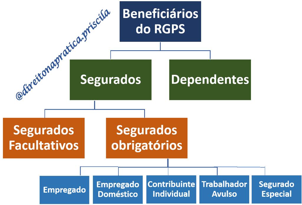 * Facultativo: Não recebe remuneração decorrente de trabalho. Idade Mínima 16 anos. Quem é vinculado ao regime próprio. Não pode se vincular ao Regime Geral na condição de segurado facultativo. Art.