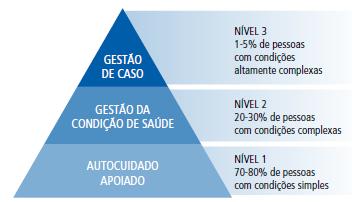 53 intensamente, na estratificação dos riscos da população que, por sua vez, define as estratégias de intervenção em autocuidado e em cuidado profissional.