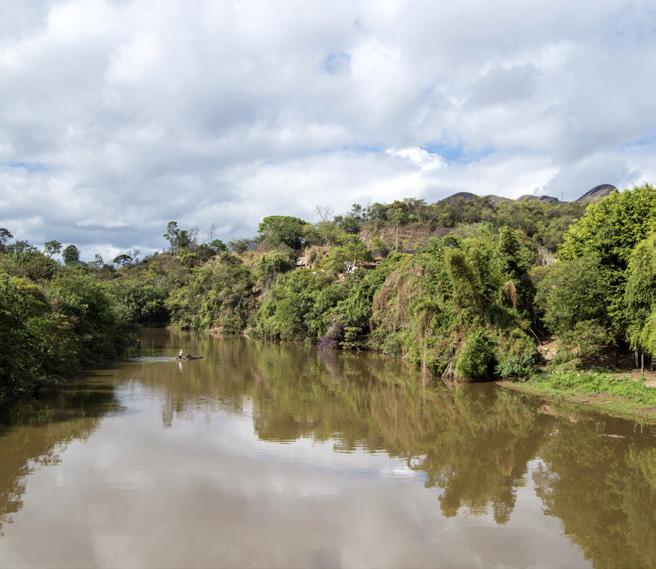 Relatório O PDRH do Rio das Velhas apresenta relatórios por UTE, onde são abordados o diagnóstico ambiental, bem como proposição de metas, ações e orçamentos específicos.