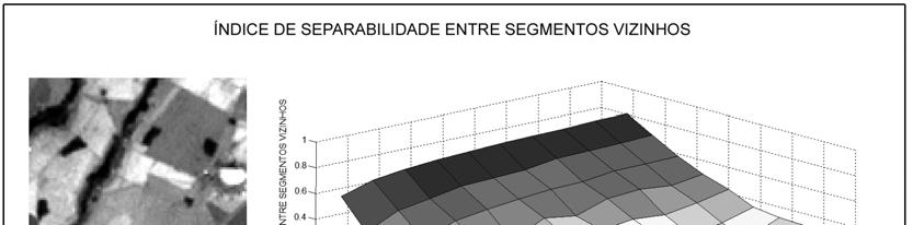 Figura 2 -