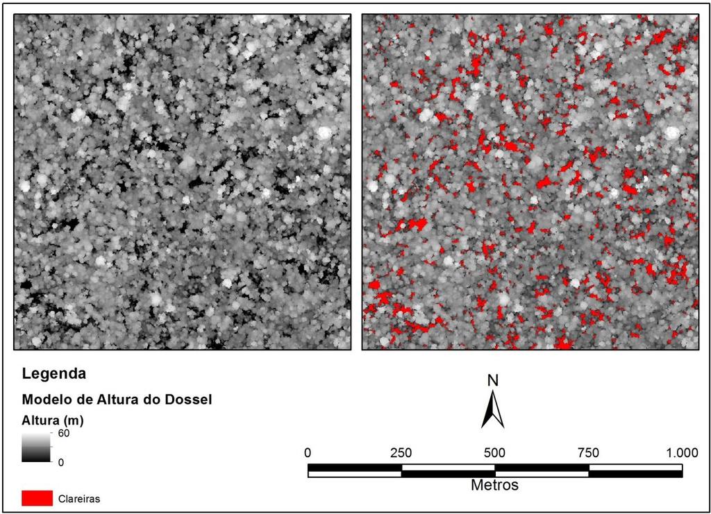 (a) (b) Figura 2.10. Identificação de clareiras em uma área submetida a exploração de madeira via Manejo Florestal Sustentável.